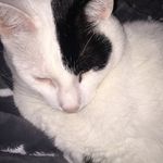 Jillian Wengert - @jillian_oreo1012 - Instagram