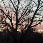 jillian wright - @jillian_photography_18_ - Instagram