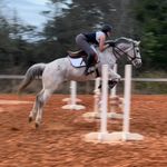 Jillian Wright - @jilliann.eq - Instagram