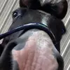 Jillian Wright - @jillian.eq - TikTok