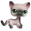 Jillian Scarbrough - @jillianscarbrough - TikTok