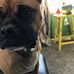 Jillian Yeager - Facebook