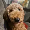 Jilly Johnson - @jilly.johnson3 - TikTok