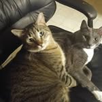 Jim Abbey - @jabbey213 - Instagram