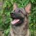 Jim Ackerman - Facebook