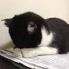 Jim_Kackley - @usere7e4nj2au2f - TikTok