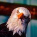 James Adcox - Facebook