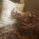 Jim Agnew - @bossagnew - Instagram