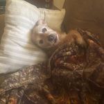 Jim Agnew - @jim.agnew.503 - Instagram