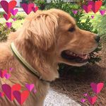 Jim Aiken - @1950jha - Instagram