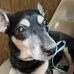Jim Albert Stoll - Facebook