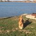 Jim Alberts - Facebook