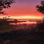 Jim Almqvist - @jim_almqvist - Instagram