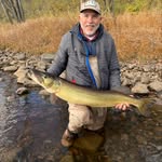 Jim Ammons - @jim.gofish - Instagram