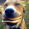 jimmy_archuleta - @jimmy_archuleta - TikTok