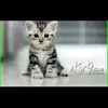 JimmyArchuleta - @user85096848 - TikTok