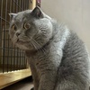 JimAsh - @jimash91792999 - TikTok