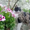 Jim Ayala - @jim.ayala6 - TikTok