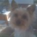 Jim Pekarek - Facebook