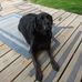 Jim Bacon - Facebook