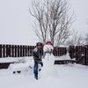 Jim Bacon - @30200879681 - TikTok