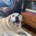 Jim Baldi - Facebook