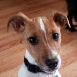 James Barham - @jimbo052uk1 - Instagram