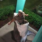 Jim Bartels - @jim.bartels.562 - Instagram
