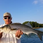 Jim Basham - @jimbasham - Instagram