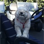 Jim Baugh - @jimcharley1 - Instagram
