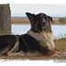 Jim Bechtold - Facebook
