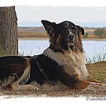 Jim Bechtold - @jbechtold123 - Instagram