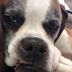 Jim Beck - @jimesb31920 - Instagram