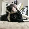 jimbeck820 - @jimbeck820 - TikTok