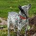 Jim Beckmann - Facebook