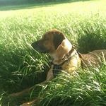 Jim Beckwith - @jim.beckwith.98 - Instagram