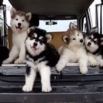 Jim Beebe - @johnnybeegood346 - Instagram