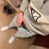 Jimmy - @jimmybeecher_ - TikTok