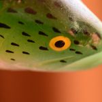 jim  beeson - @cowdungwetfly - Instagram