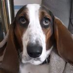 Jim Bender - @jbender911 - Instagram