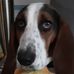 Jim Bender - Facebook