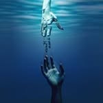 Jim Benedict - @kingkudzu - Instagram