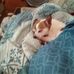 Jim Benedict - Facebook