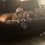 Jim Beres - @jimberes - Instagram