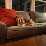 Jim Beresheim - @jimberesheim - Instagram