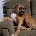 Jim Bicknell - Facebook