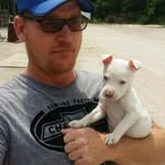 Jim Bishop - @jimbishop4 - Instagram