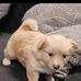 Jim Black - Facebook