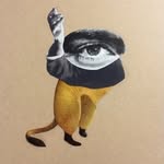 Jim Blaha - @jimandthefrenchvanilla - Instagram