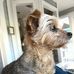 Jim Board - Facebook